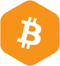 Bitcoin (BTC)