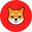 Shiba Inu